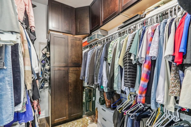 view of walk in closet