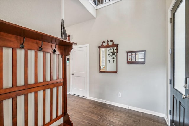 foyer entrance featuring dark hardwood / wood-style floors