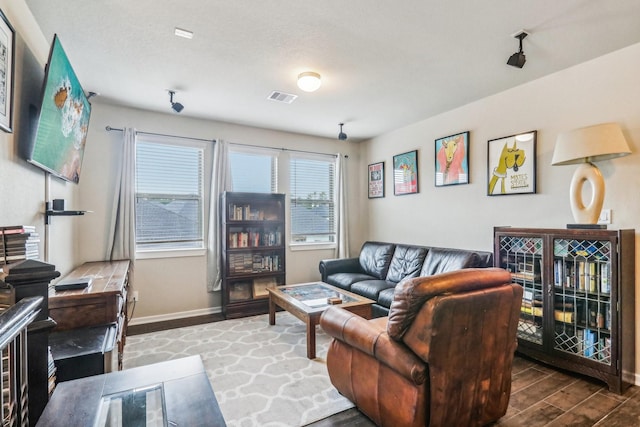 living room with wood-type flooring