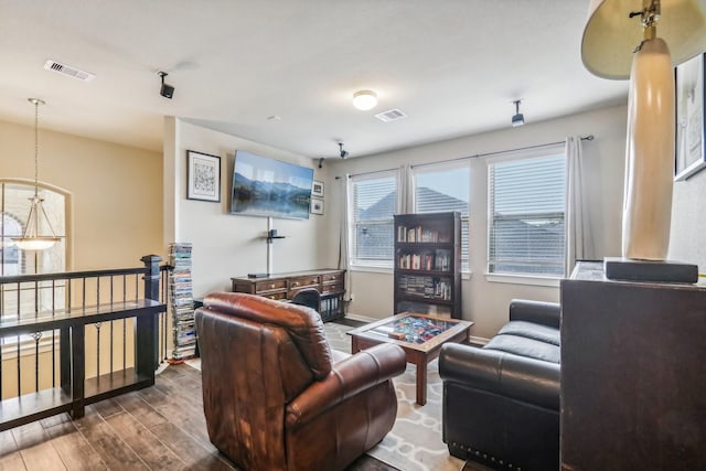 living room featuring wood-type flooring