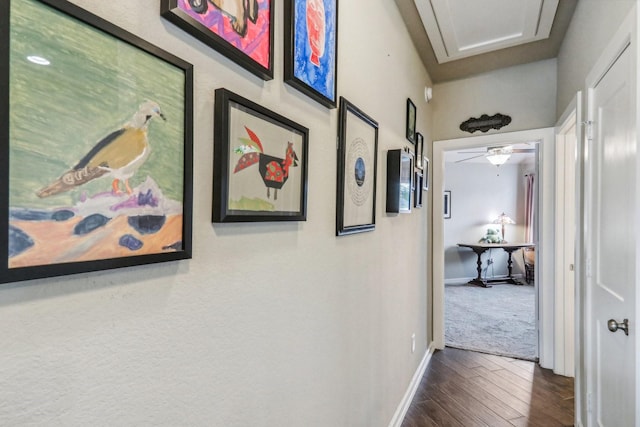 corridor with dark hardwood / wood-style flooring