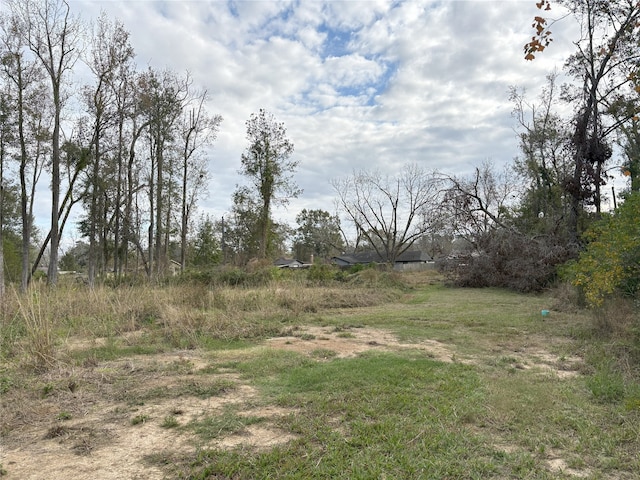 1410 Gum Tree Ln, Huffman, TX 77336