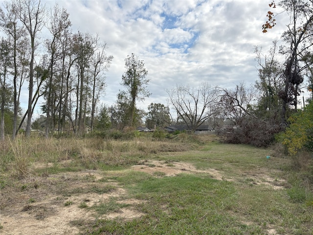 1410 Gum Tree Ln, Huffman, TX 77336