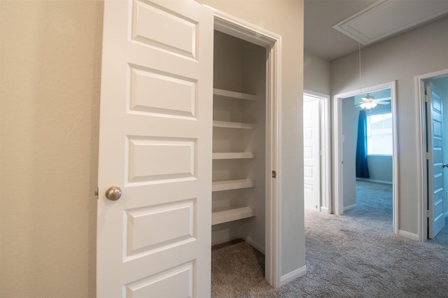 view of closet