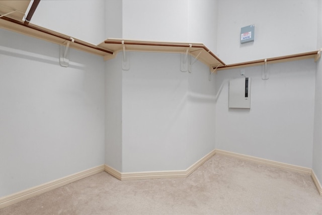 spacious closet with light colored carpet