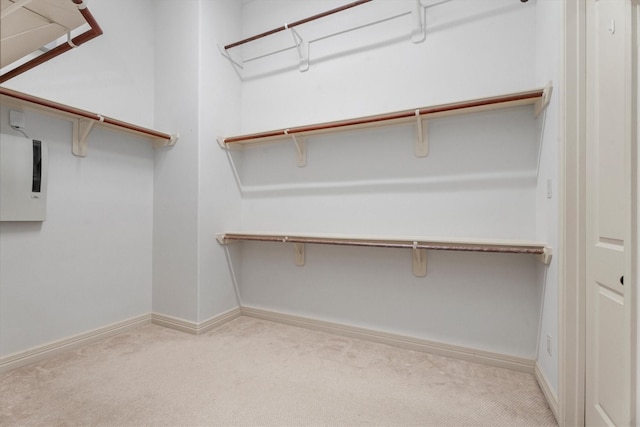 spacious closet featuring light carpet