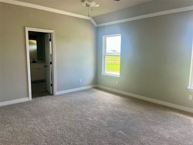 643 Longhorn Trl, Angleton, TX 77515 - spare room featuring ornamental molding, a ceiling fan, and carpet flooring