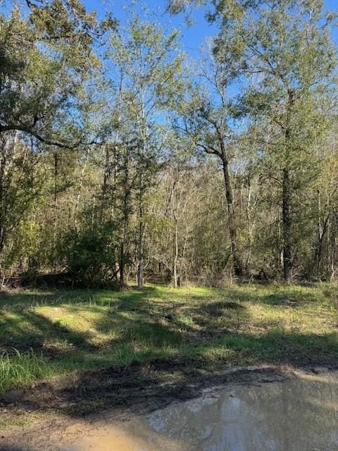 412 Cherokee Forest Ln, Livingston TX, 77351 land for sale