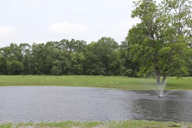 property view of water