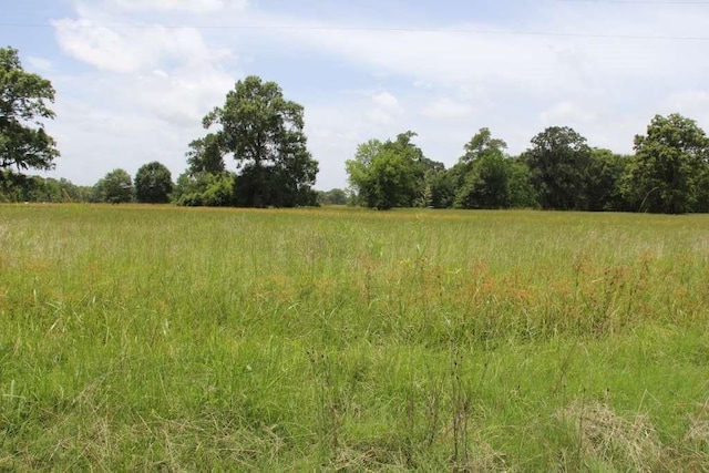 view of landscape with a rural view