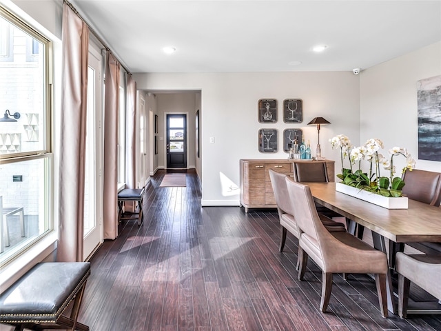 dining room with dark hardwood / wood-style flooring