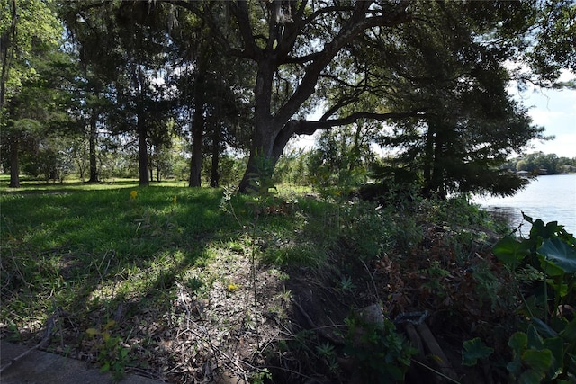 view of local wilderness featuring a water view