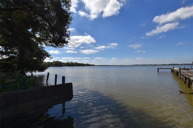 dock area featuring a water view