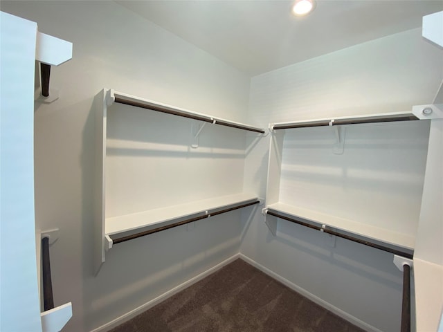 spacious closet featuring dark carpet