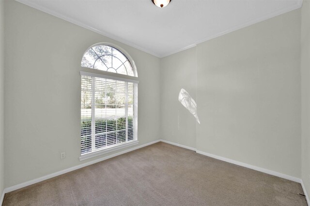 unfurnished room with light carpet and crown molding