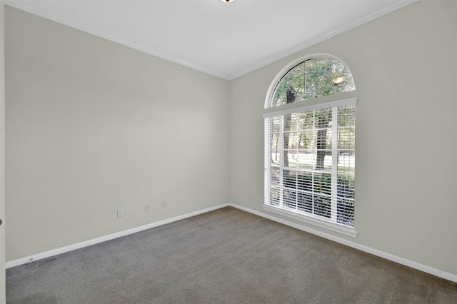 carpeted empty room featuring vaulted ceiling and ornamental molding