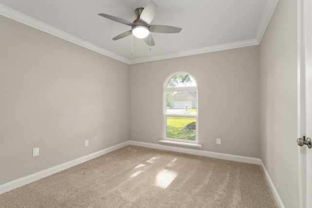 carpeted spare room featuring ceiling fan and ornamental molding