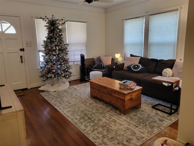 living room featuring dark hardwood / wood-style floors, ceiling fan, and plenty of natural light