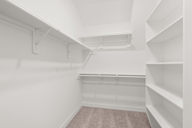 spacious closet with light colored carpet