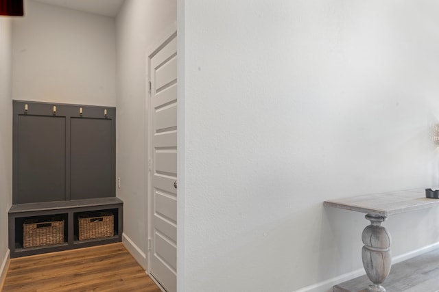 mudroom featuring dark hardwood / wood-style flooring