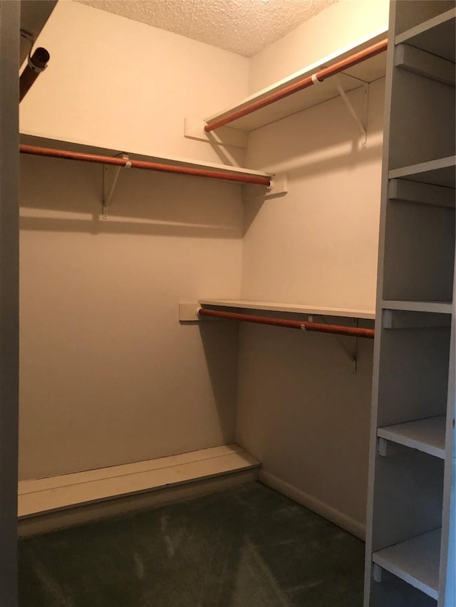 spacious closet with dark carpet