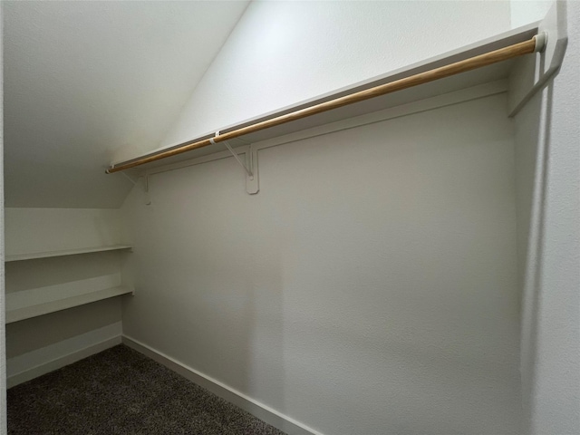 24555 Kerry St, Hempstead, TX 77445 - walk in closet featuring lofted ceiling and dark carpet