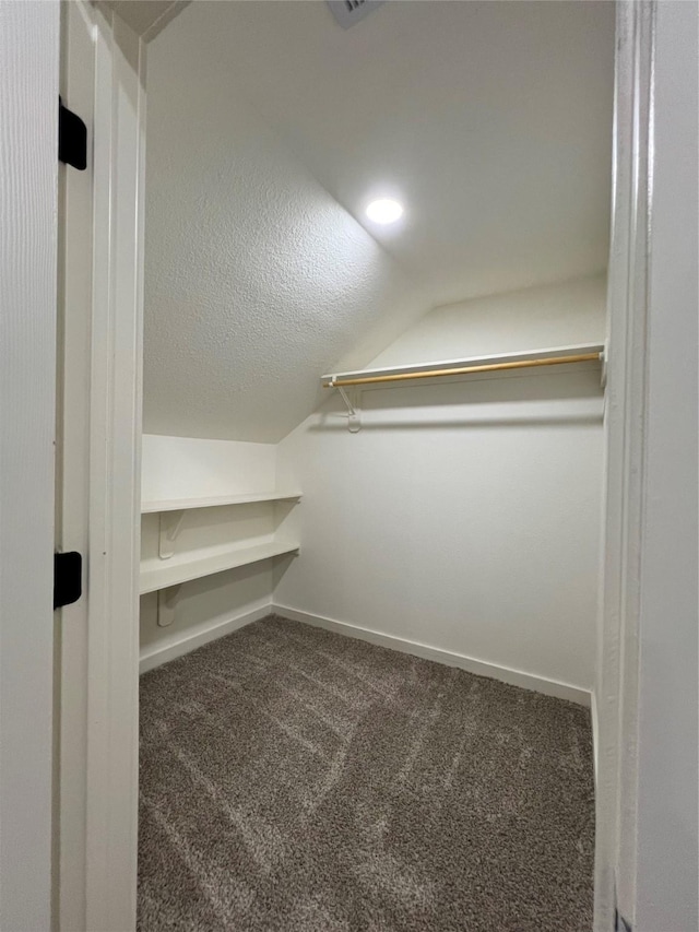 24555 Kerry St, Hempstead, TX 77445 - walk in closet featuring carpet flooring and lofted ceiling