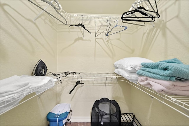 walk in closet with wood-type flooring