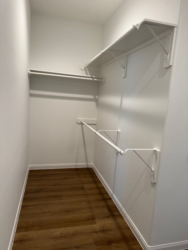 walk in closet with dark hardwood / wood-style floors