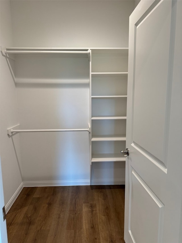 spacious closet featuring dark hardwood / wood-style flooring