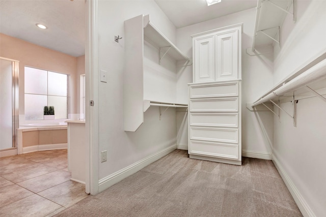 spacious closet with light colored carpet