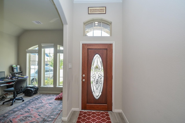 entryway featuring hardwood / wood-style flooring, a healthy amount of sunlight, and lofted ceiling