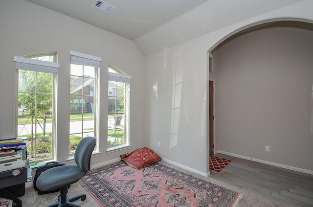 office space with a healthy amount of sunlight, lofted ceiling, and hardwood / wood-style flooring