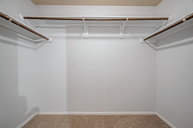 spacious closet with carpet floors