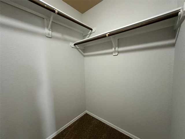 walk in closet featuring carpet