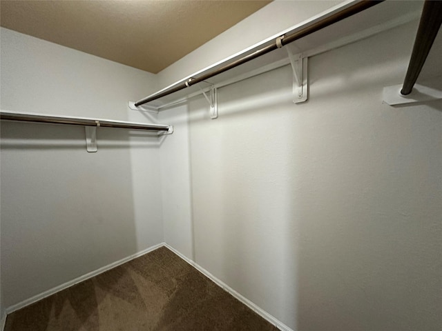 walk in closet featuring carpet