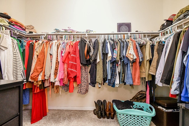 walk in closet featuring carpet