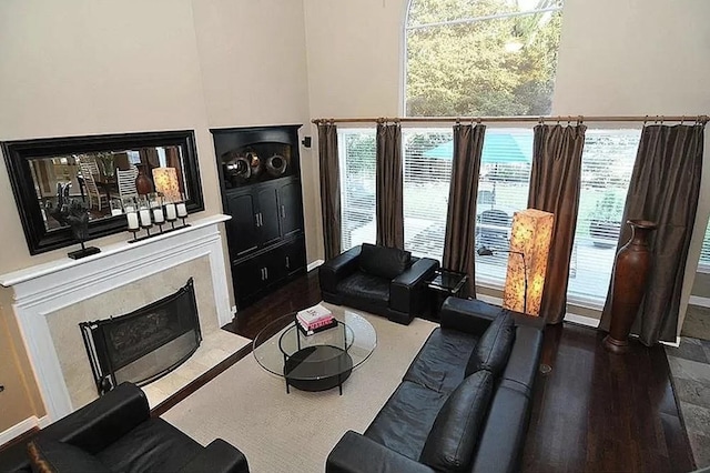 living room featuring wood-type flooring and a fireplace