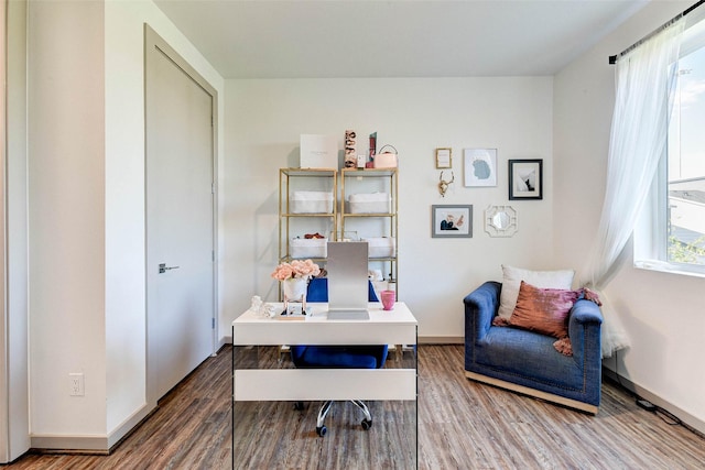 office space with wood-type flooring