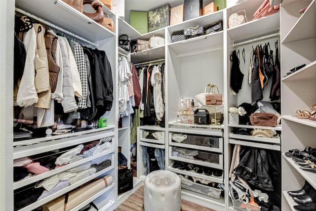 walk in closet featuring wood-type flooring