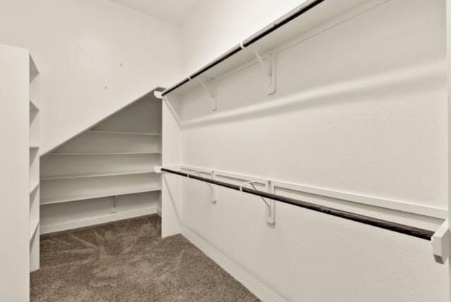 walk in closet featuring dark colored carpet