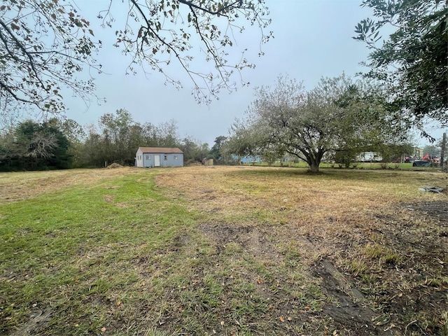 view of yard with a shed