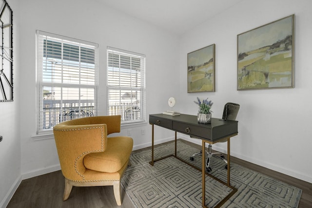 office space featuring dark wood-type flooring and a wealth of natural light