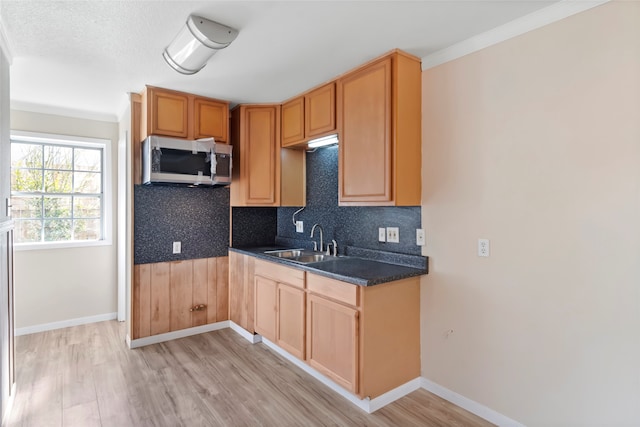 kitchen with ornamental molding, light hardwood / wood-style floors, backsplash, and sink