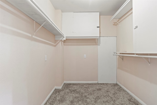 walk in closet featuring carpet