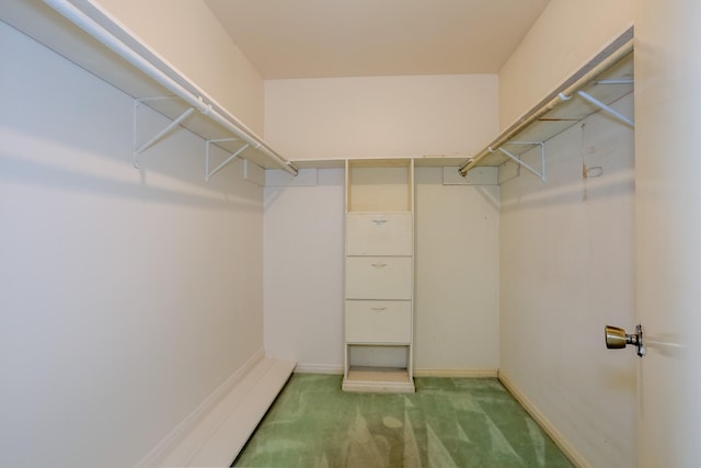 spacious closet with carpet flooring