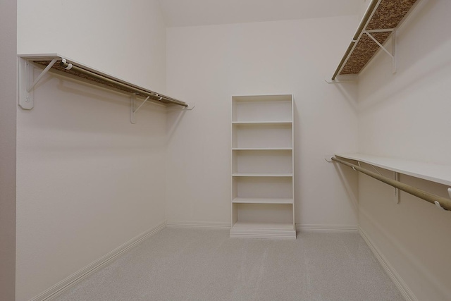 spacious closet with carpet floors