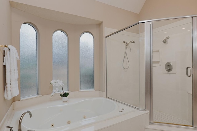 bathroom with plenty of natural light and a shower stall