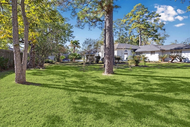 view of yard