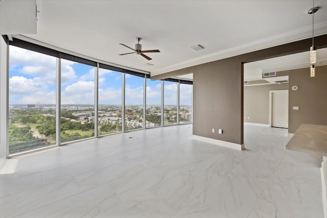 spare room with ceiling fan, plenty of natural light, and expansive windows